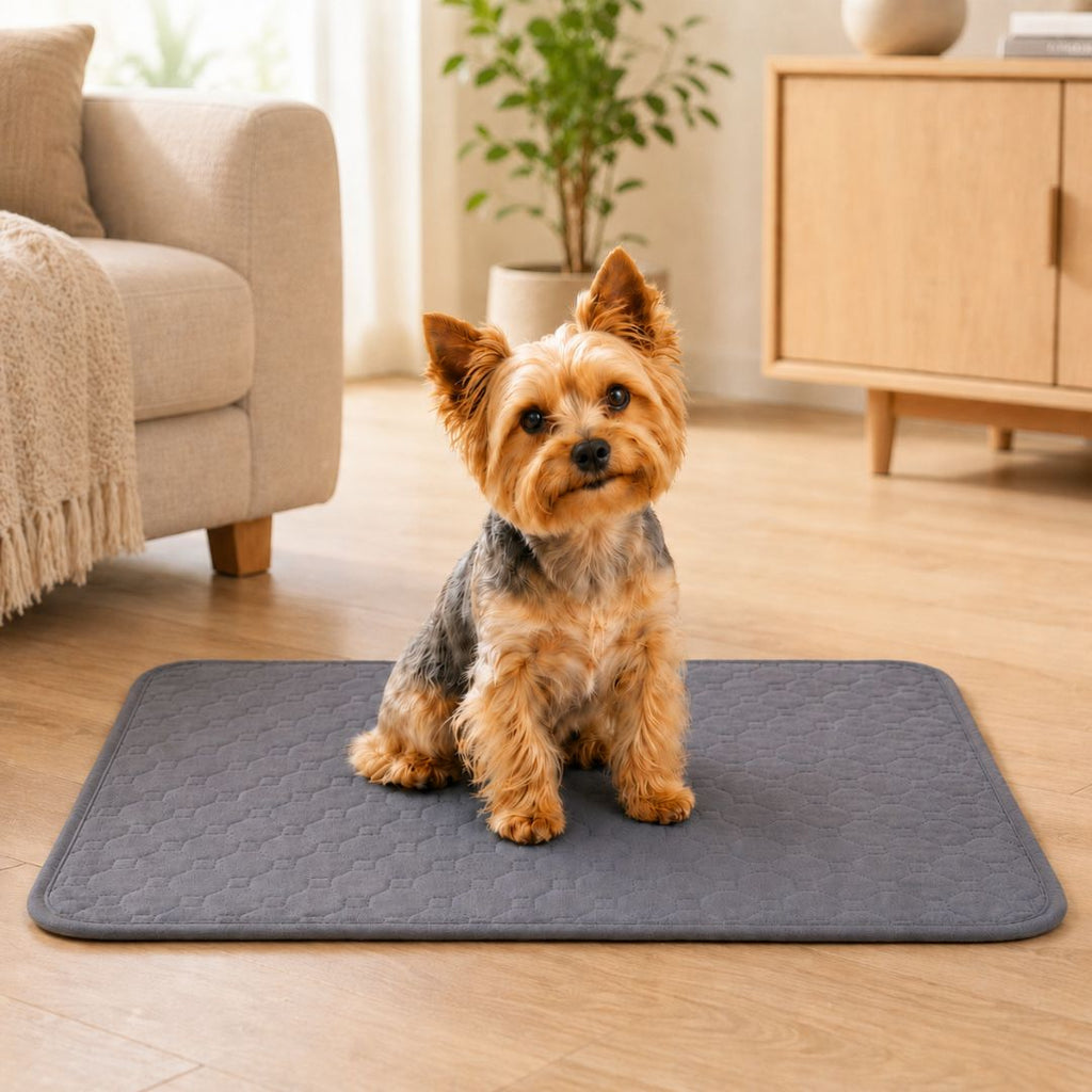 Empapador Lavable para Perros Vettina™